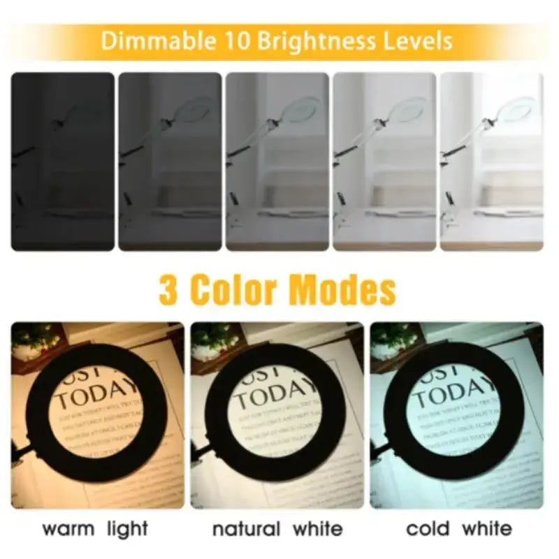 versatile desk lamp with magnifier