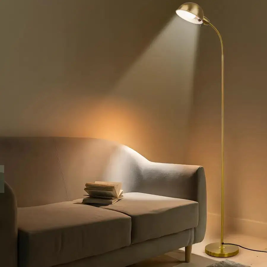 Gooseneck Floor Reading Lamp