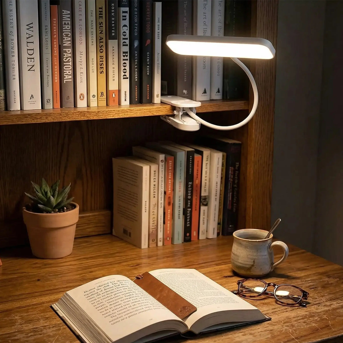 Reading Light With Clamp