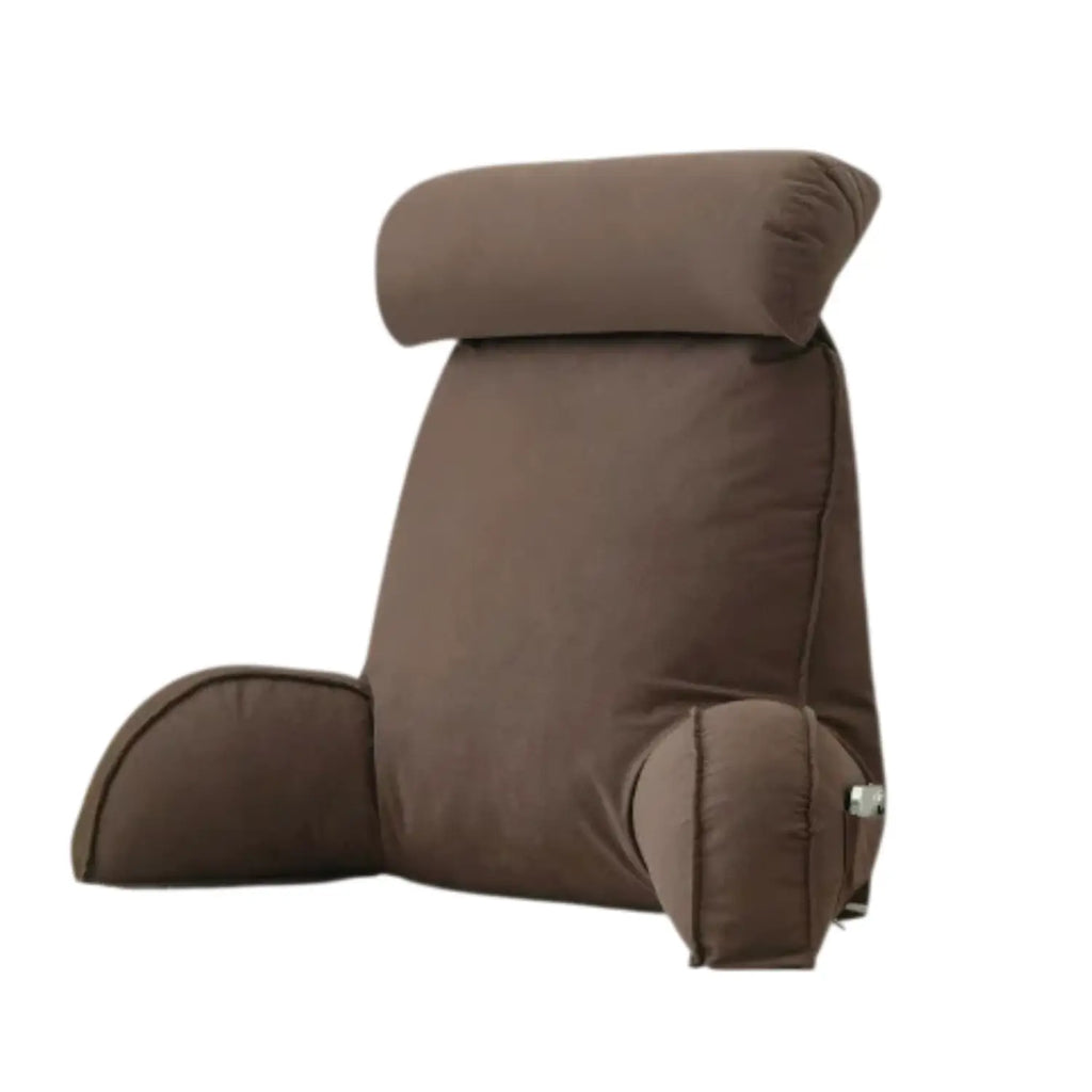 back support pillow for book lovers